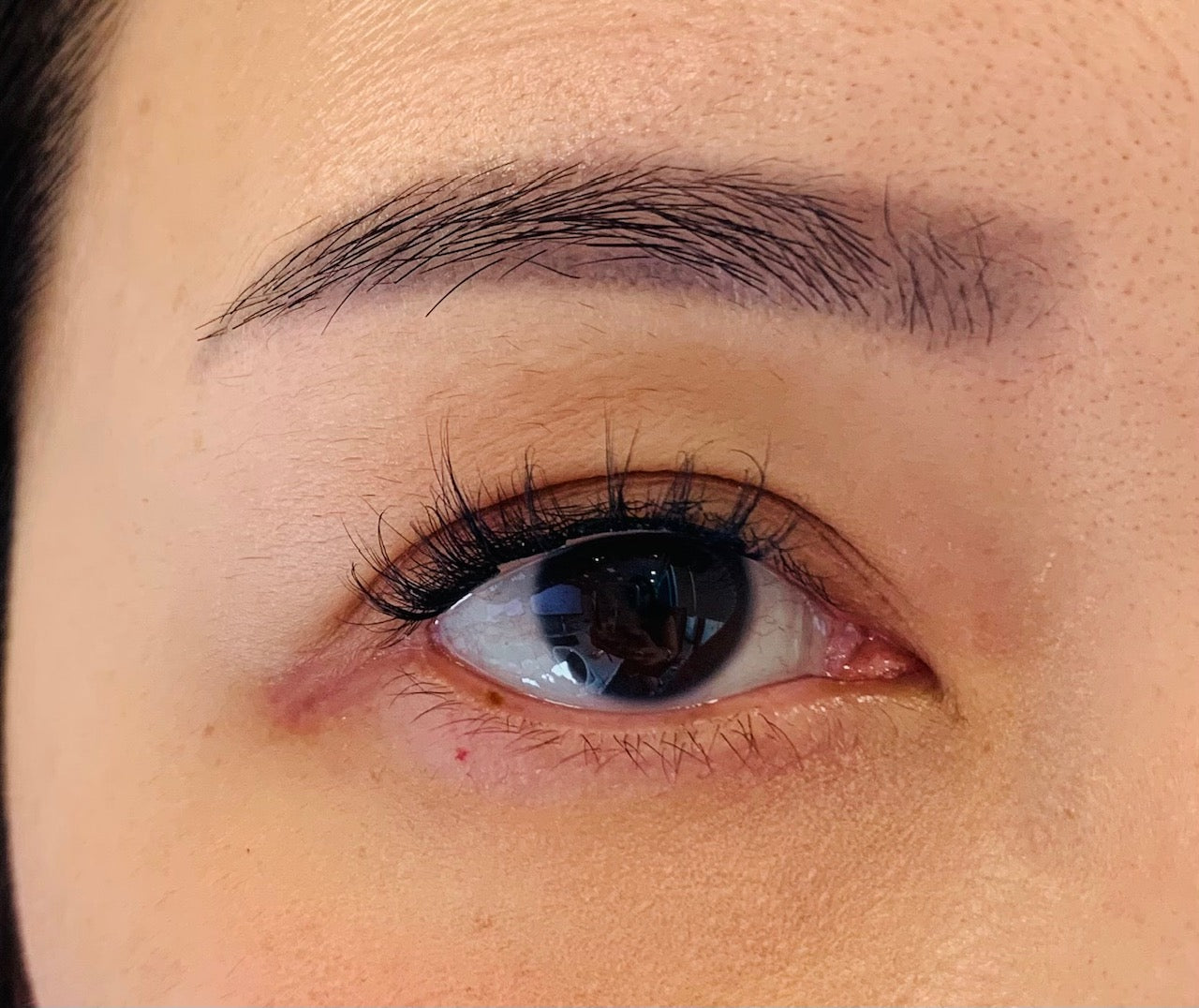 Lashpresso™ Instant Salon Lashes