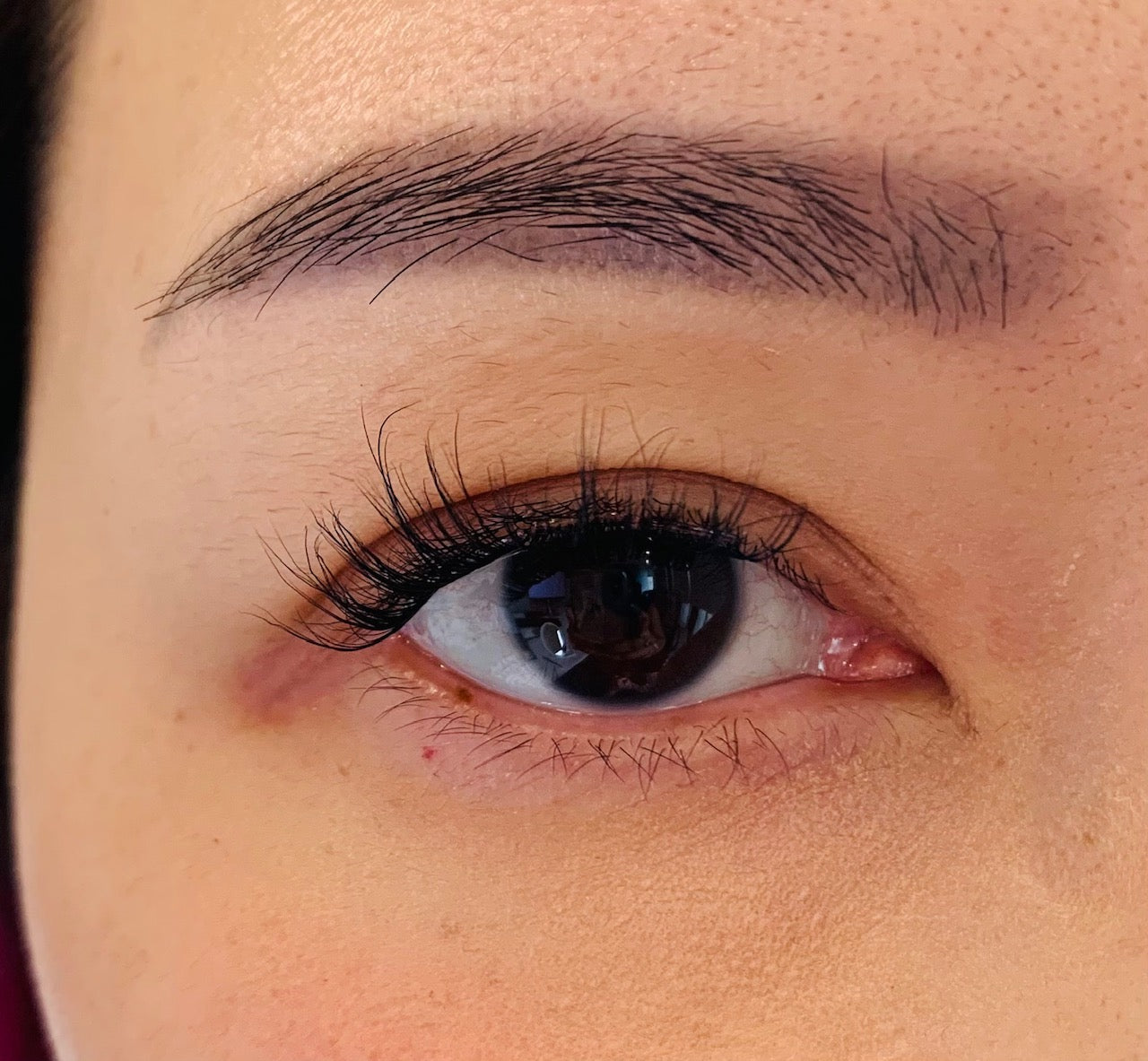 Lashpresso™ Instant Salon Lashes