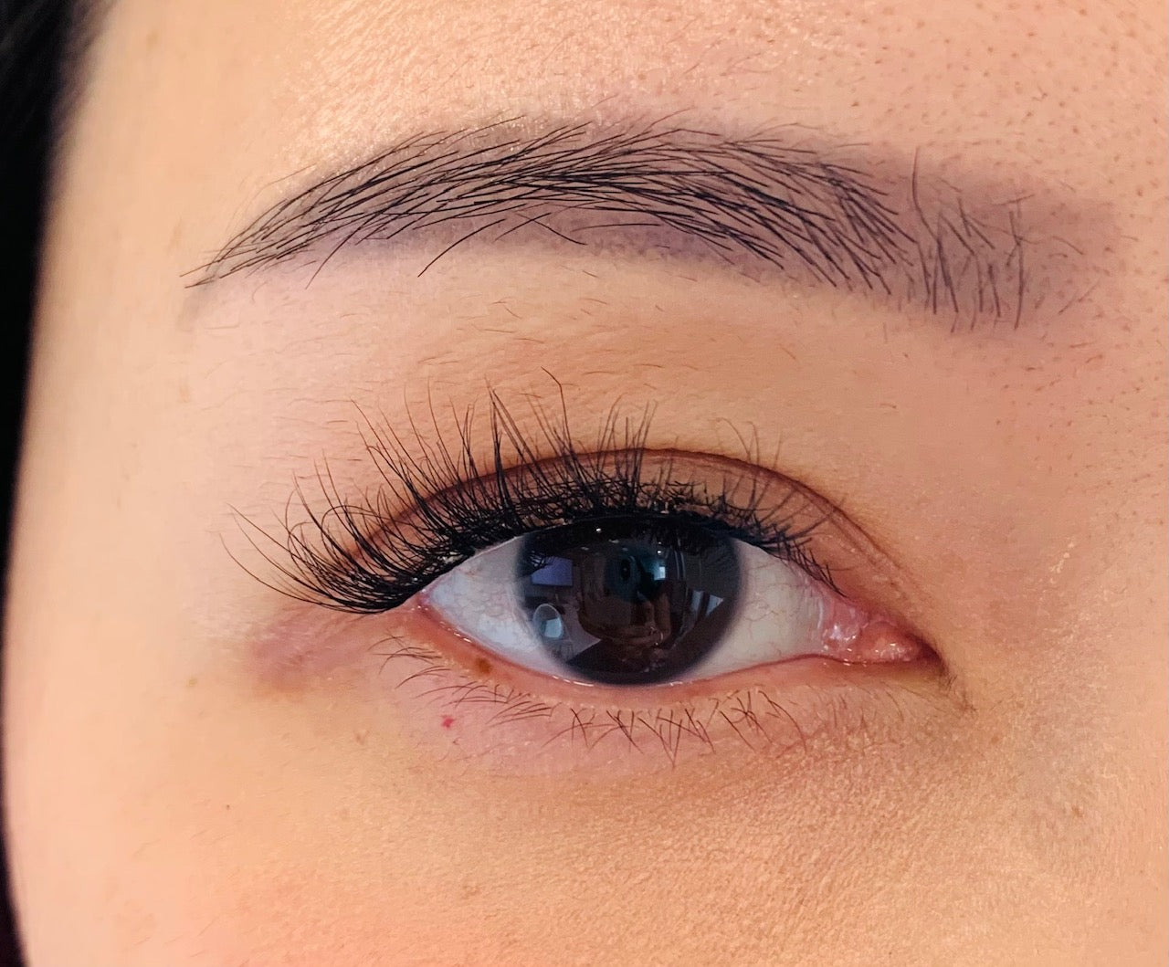 Lashpresso™ Instant Salon Lashes
