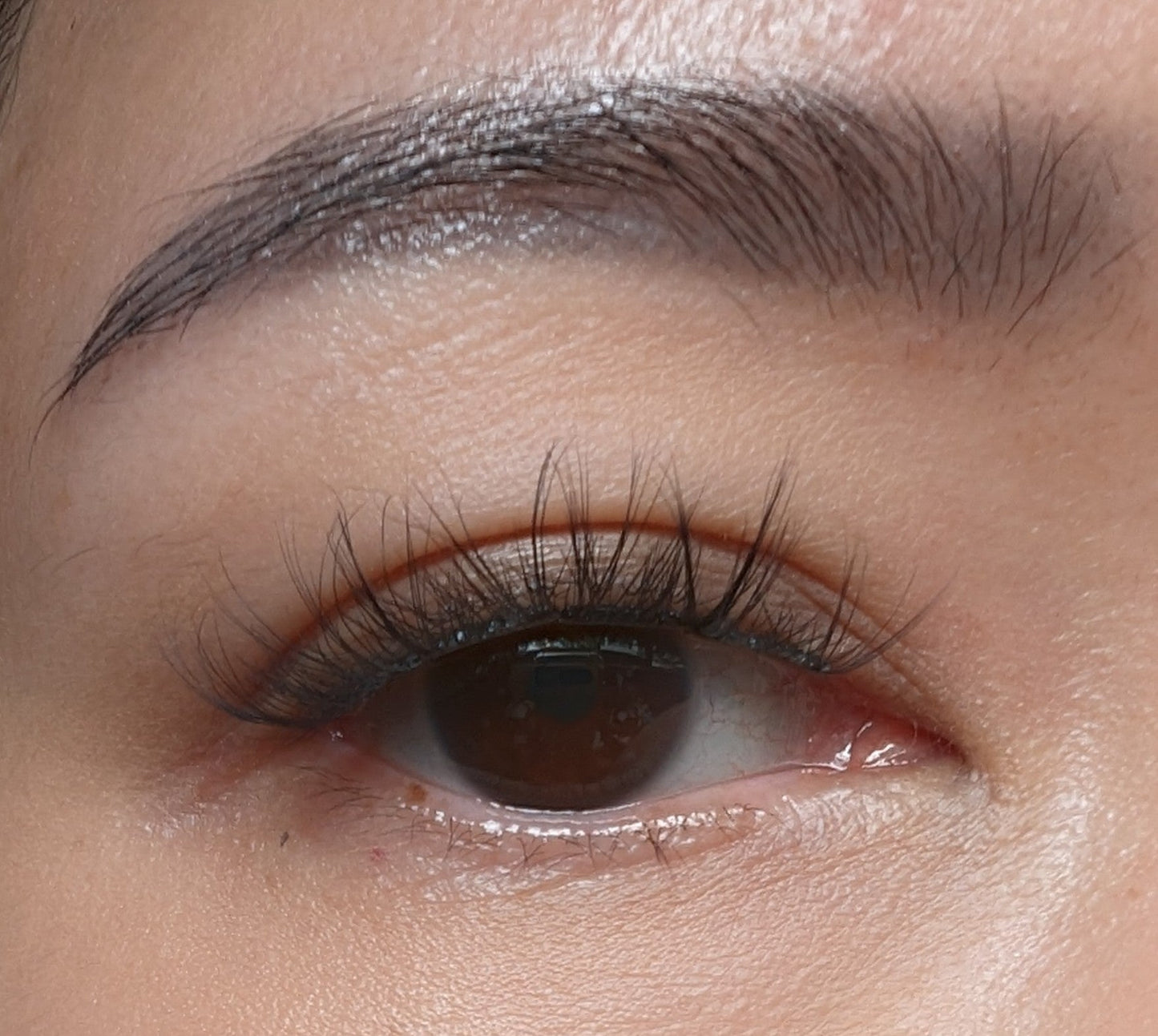 Lashpresso™ Instant Salon Lashes